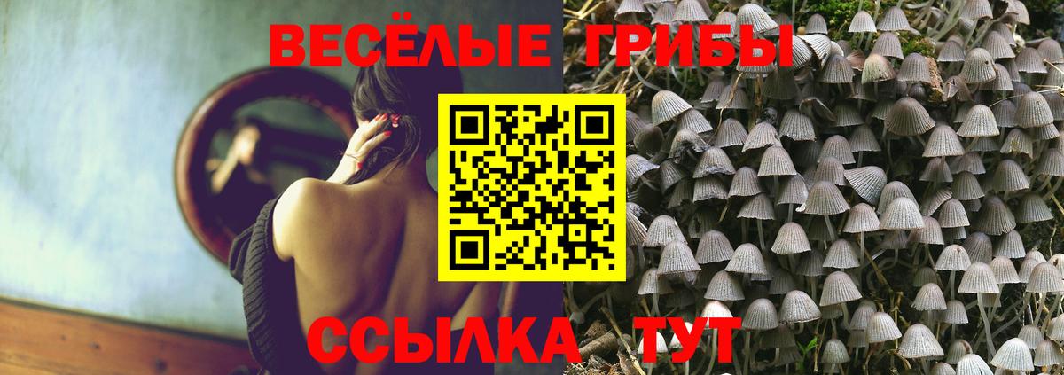 Псилоцибиновые грибы Psilocybine cubensis Белореченск